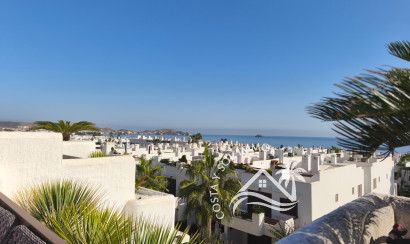 Apartment - Resale - San Juan de los Terreros - MDP3 134 AP123 T32