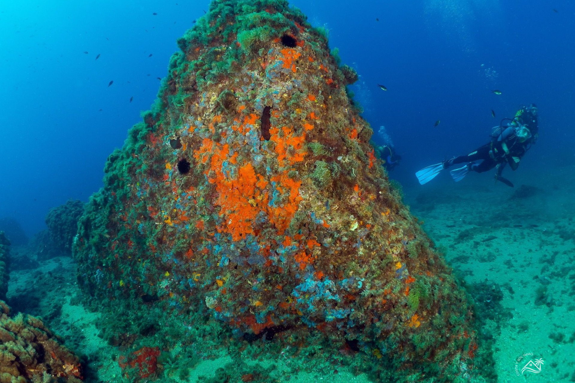 Herverkoop - Appartement / flat -
San Juan de los Terreros