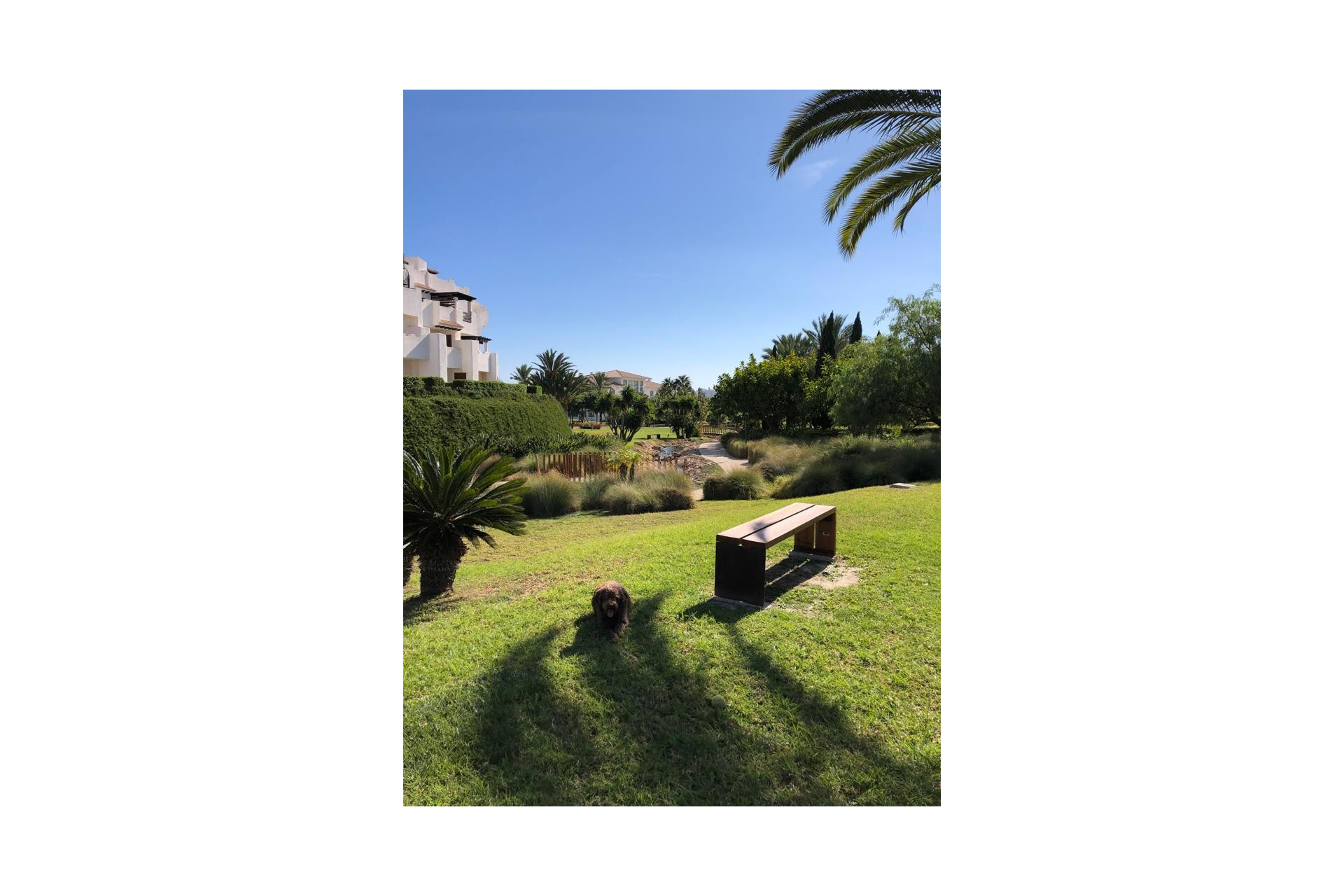 Resale - Apartment -
Vera Playa