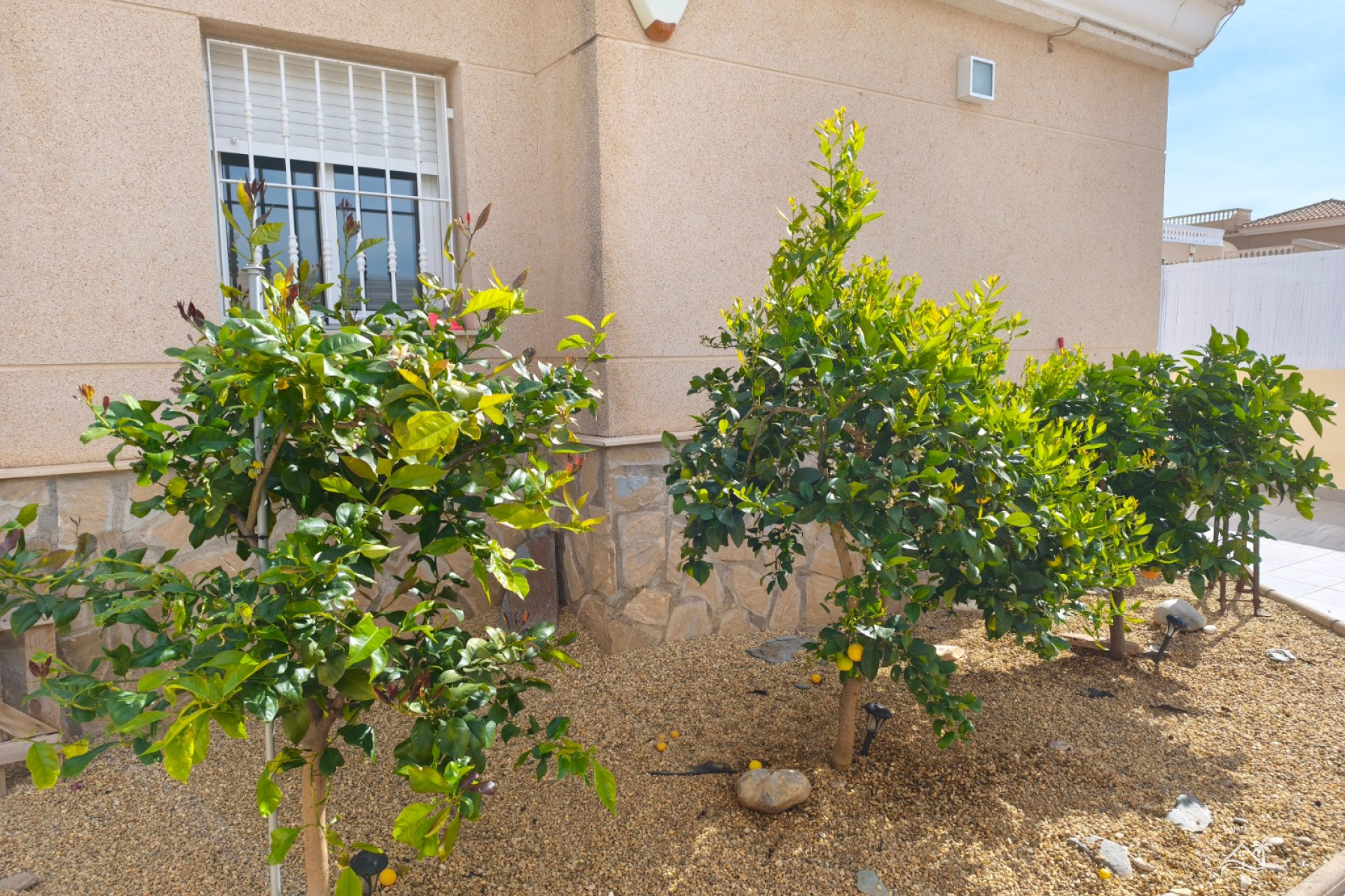 Wiederverkauf - Villa -
San Juan de los Terreros