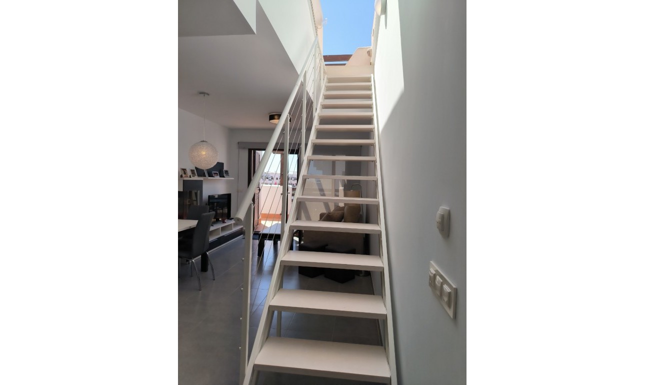 Location - Penthouse -
San Juan de los Terreros