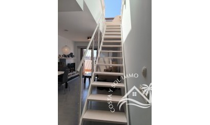 Location - Penthouse -
San Juan de los Terreros