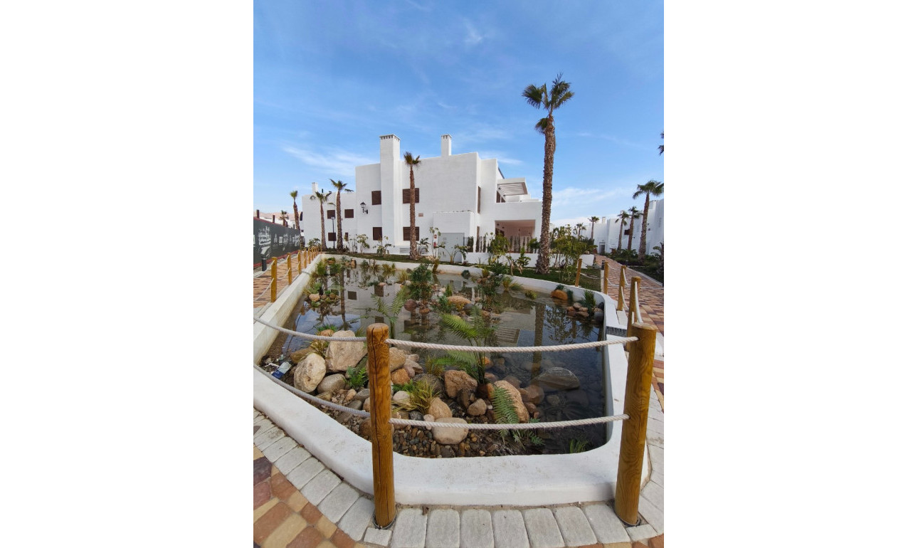 New Build - Apartment -
San Juan de los Terreros