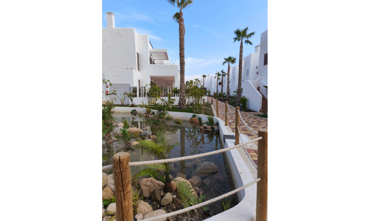 New Build - Apartment -
San Juan de los Terreros