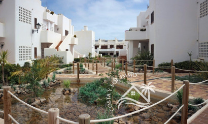 Resale - Apartment -
San Juan de los Terreros