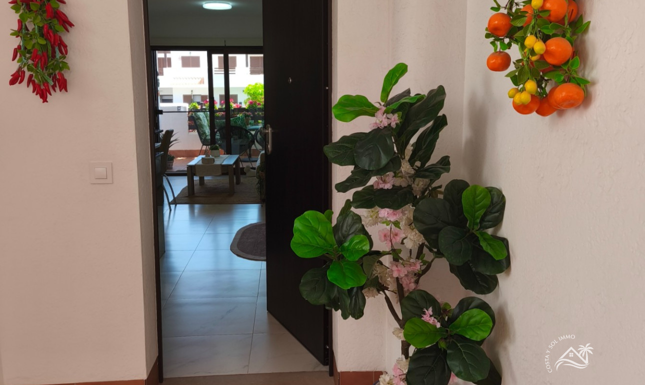 Resale - Apartment -
San Juan de los Terreros