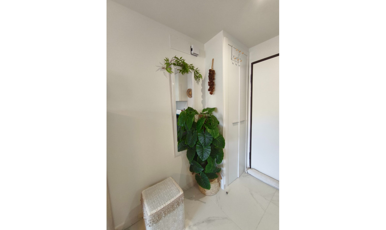 Resale - Apartment -
San Juan de los Terreros