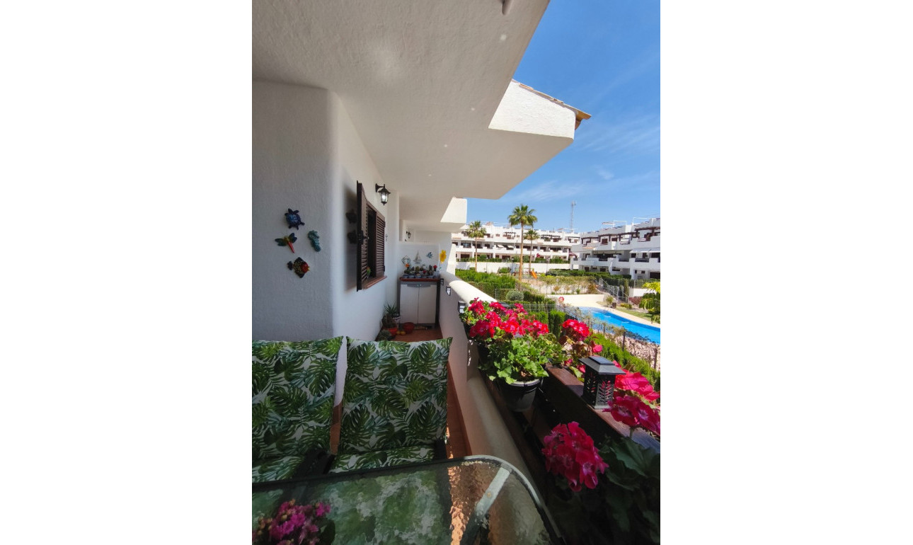 Resale - Apartment -
San Juan de los Terreros