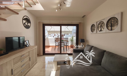 Revente - Penthouse -
San Juan de los Terreros