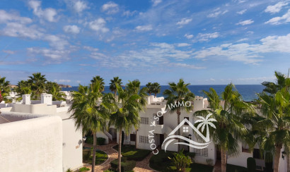 Revente - Penthouse -
San Juan de los Terreros