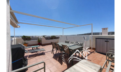 Resale - Penthouse -
San Juan de los Terreros